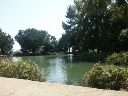 Enlarge photo 57