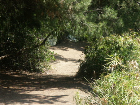 Enlarge photo 59