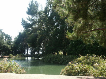 Enlarge photo 66