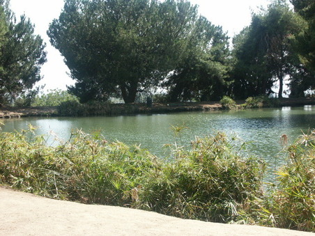 Enlarge photo 72