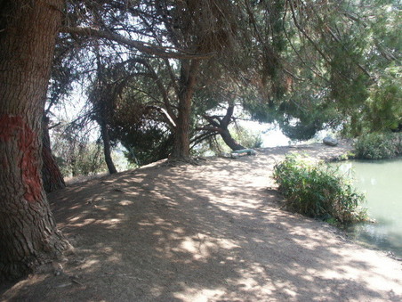Enlarge photo 77