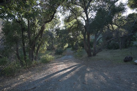 Enlarge photo 1