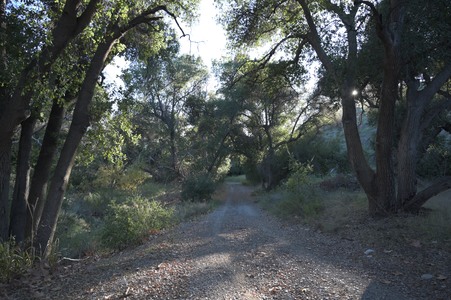 Enlarge photo 3