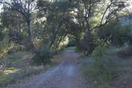 Enlarge photo 2