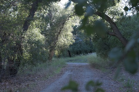 Enlarge photo 7