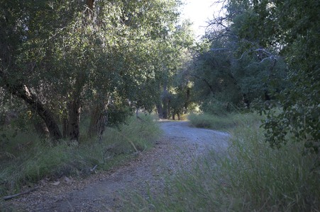 Enlarge photo 8