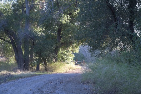 Enlarge photo 10