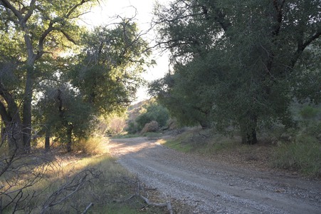 Enlarge photo 11