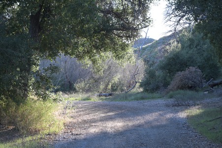 Enlarge photo 12