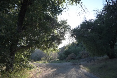 Enlarge photo 13