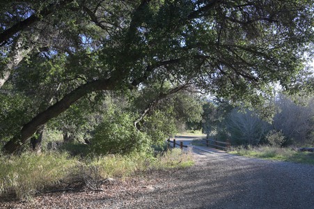 Enlarge photo 14