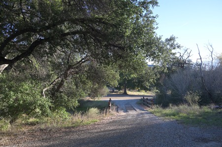 Enlarge photo 15