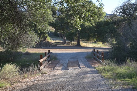Enlarge photo 16