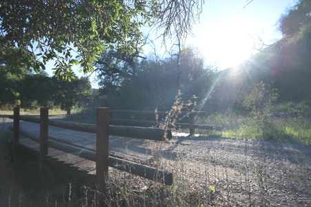 Enlarge photo 17