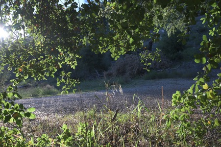 Golden_Oaks_Ranch_NATALIES_TRAIL
