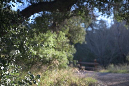 Enlarge photo 22