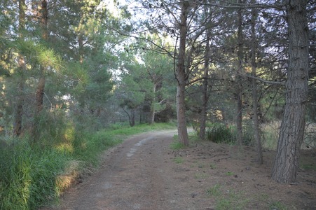 Enlarge photo 2