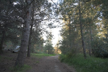 Enlarge photo 1