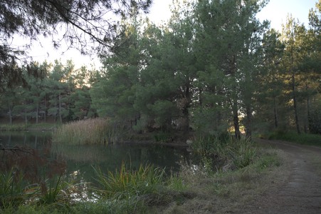 Enlarge photo 4