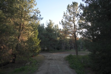 Enlarge photo 7