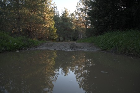 Enlarge photo 8