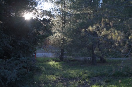 Enlarge photo 10