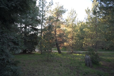 Enlarge photo 11