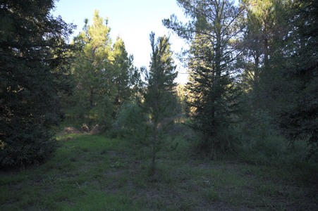 Enlarge photo 12
