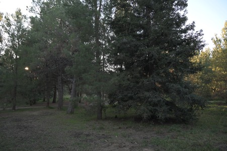 Enlarge photo 13