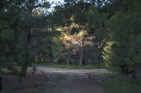 Enlarge photo 16