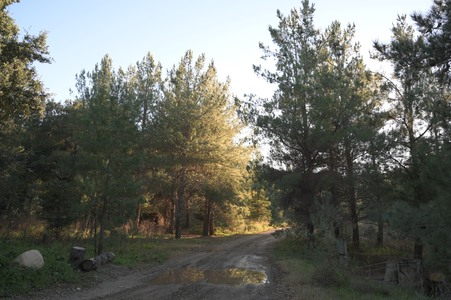 Enlarge photo 17