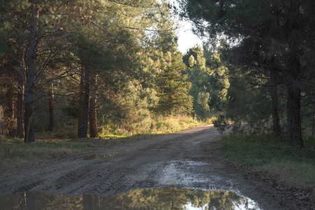 Enlarge photo 18