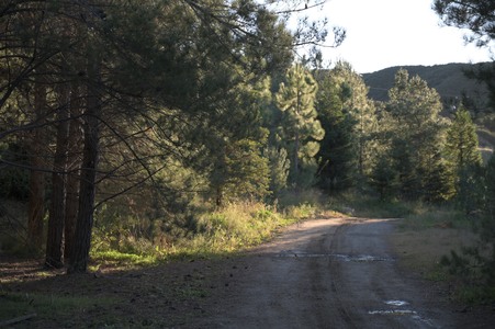 Enlarge photo 19