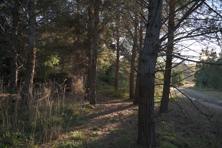 Enlarge photo 20