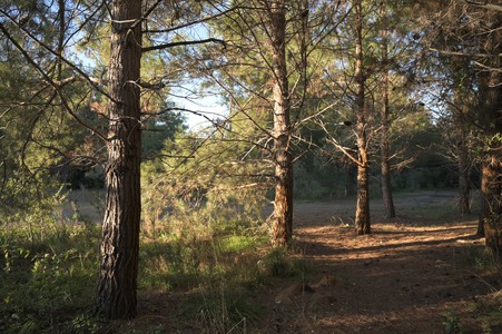 Enlarge photo 24