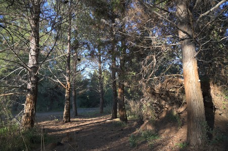 Enlarge photo 23