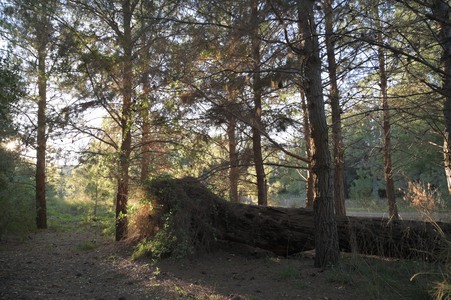 Enlarge photo 25