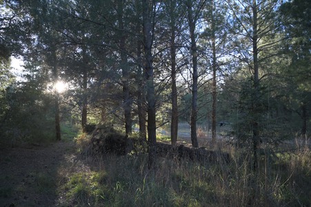 Enlarge photo 26