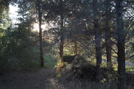 Enlarge photo 27