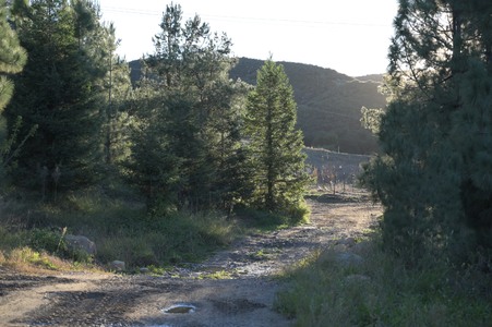 Enlarge photo 28