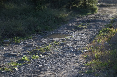 Enlarge photo 29