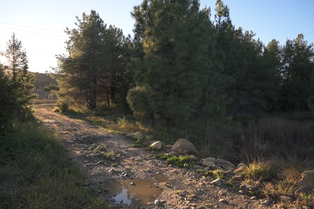 Enlarge photo 30