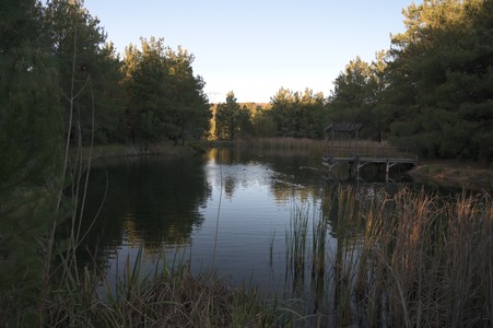 Enlarge photo 31