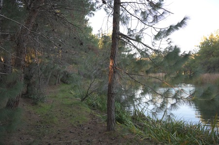 Enlarge photo 32