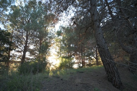 Enlarge photo 33