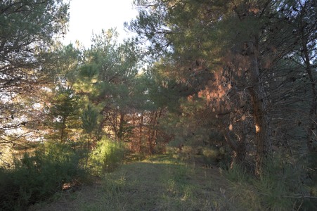 Enlarge photo 34