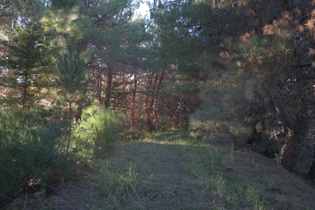 Enlarge photo 35