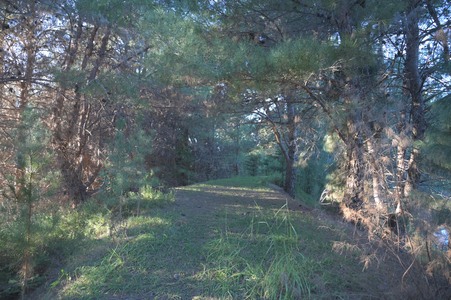 Enlarge photo 36