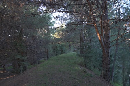 Enlarge photo 37