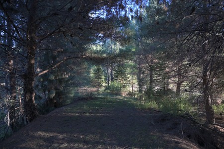 Enlarge photo 38